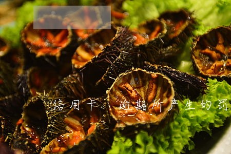 信用卡 逾期所产生的罚款 信用卡 逾期所产生的罚款